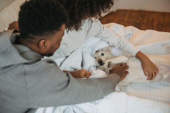 Cane affettuoso accoccolato sulla sua persona preferita