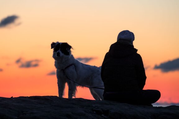Persona e cane insieme, simbolo di un'amicizia unica