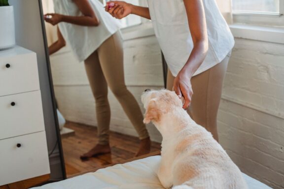 Cane che osserva la propria immagine riflessa in uno specchio