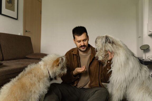Cane che guarda il proprietario negli occhi