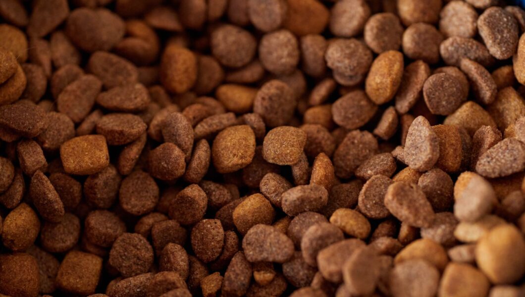 Crocchette per cane in una ciotola accanto alla confezione