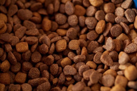 Crocchette per cane in una ciotola accanto alla confezione
